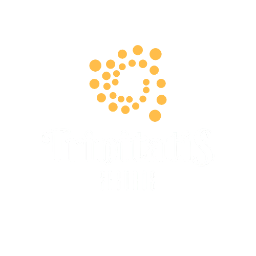 Trinitatis Seguros